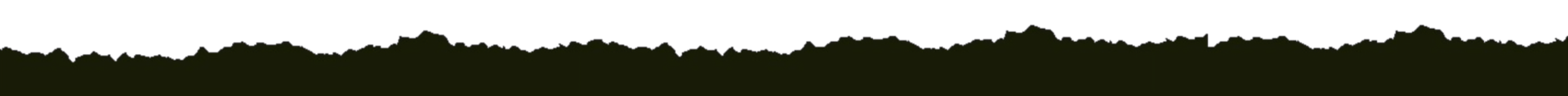 Footer Top Image